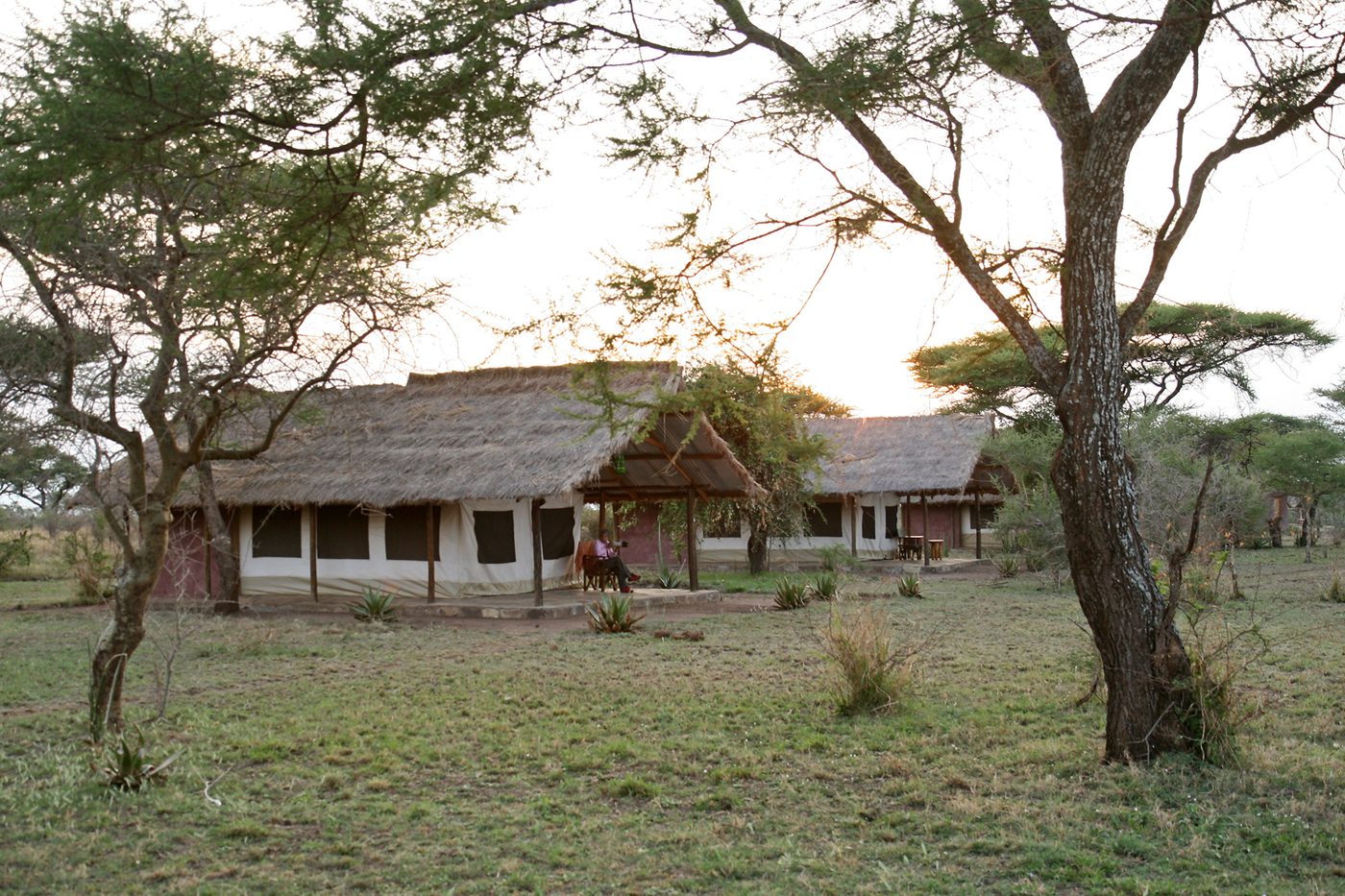 Safari tents on the northern circuit