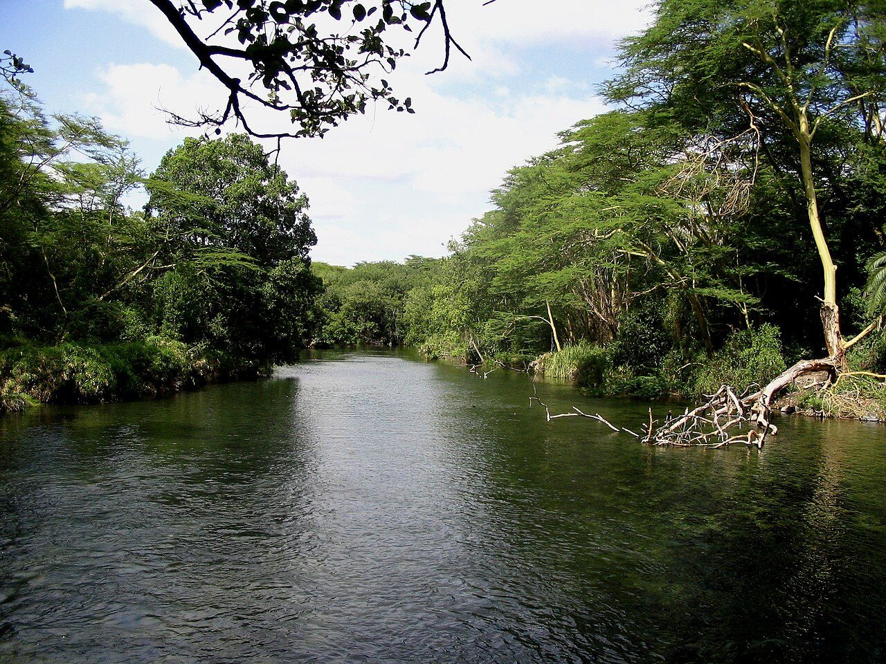 Tsavo River, Tsavo West National Park