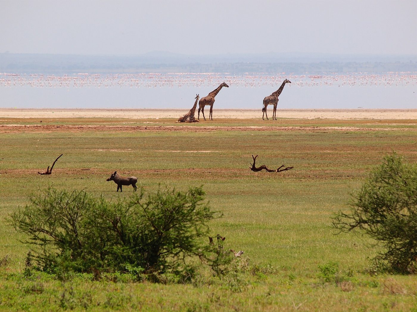 Lake Manyara before the flight home