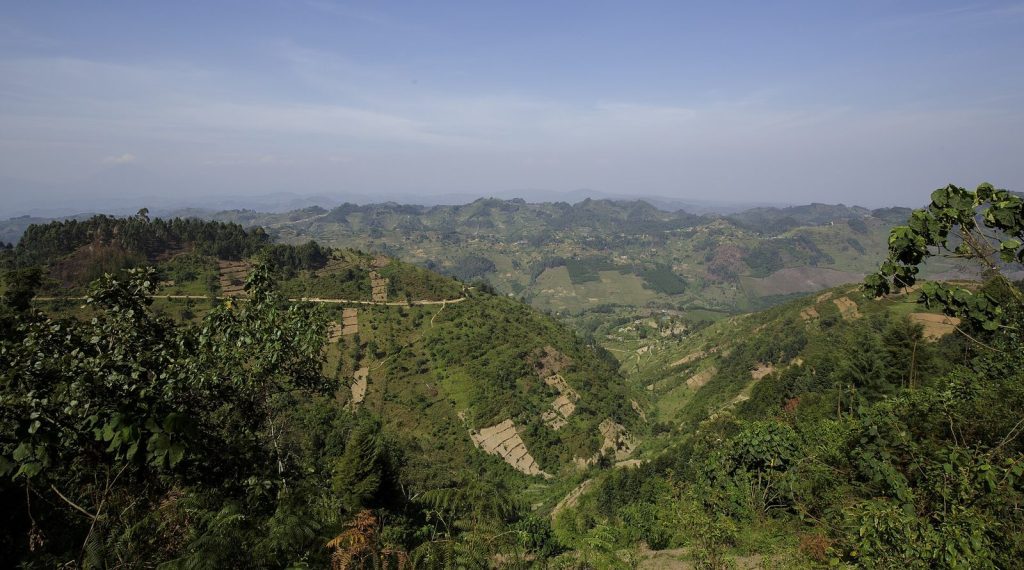 3-Day Uganda Gorilla Trek: Bwindi Fly-in