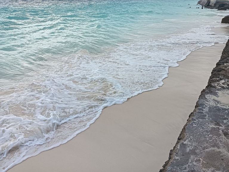 9-Day Tanzania Safari and Zanzibar