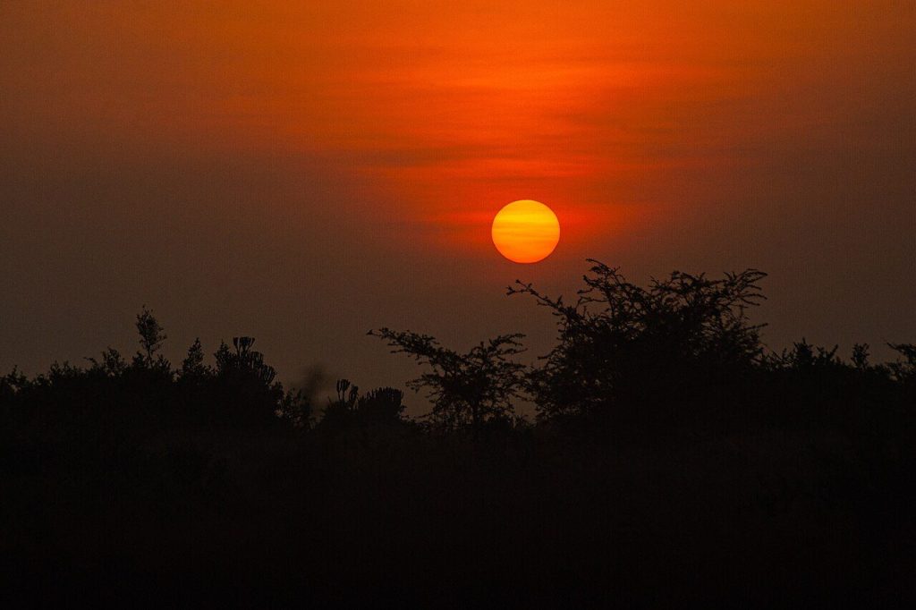 6-Day Uganda: Queen Elizabeth and Bwindi Gorillas