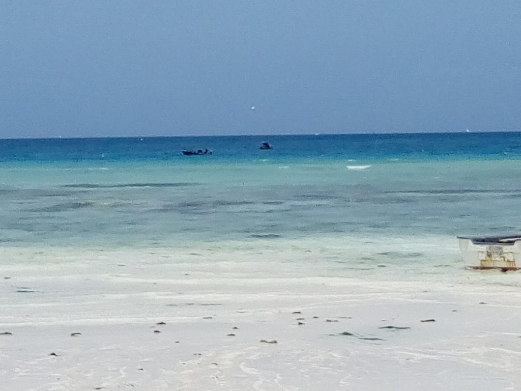 11-Day Tanzania Safari and Zanzibar